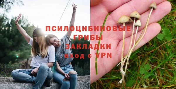 каннабис Алексеевка