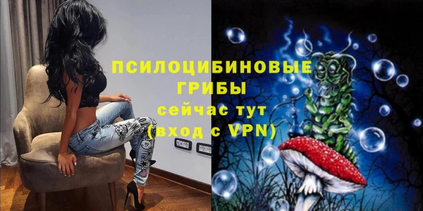 spice Алзамай