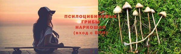 синтетический гашиш Алексин