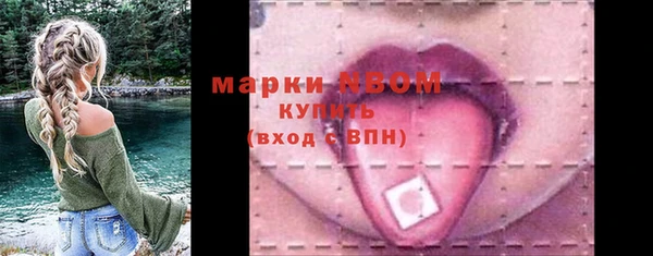 прущие грибы Приозерск